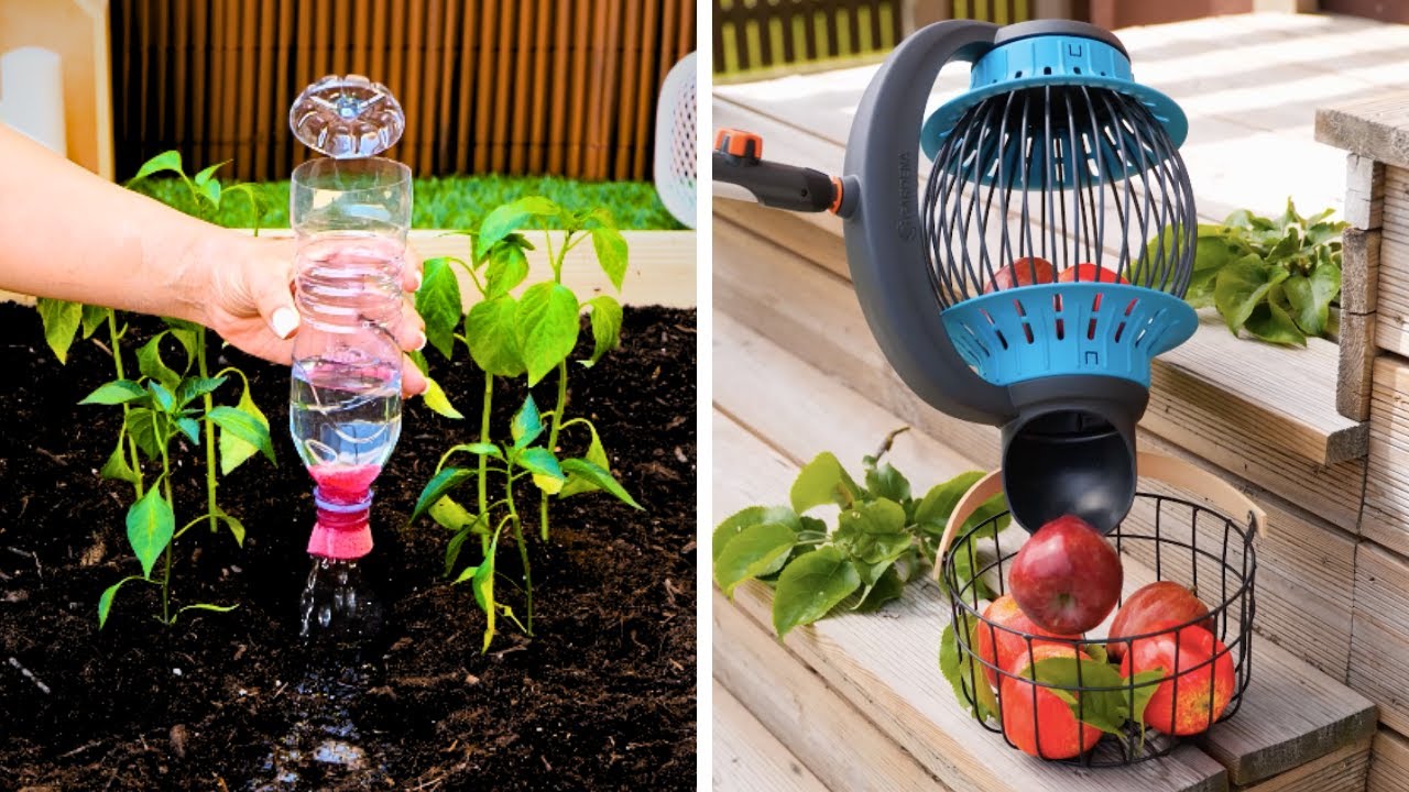 Gardening Tips & Backyard Hacks You Must Try!
