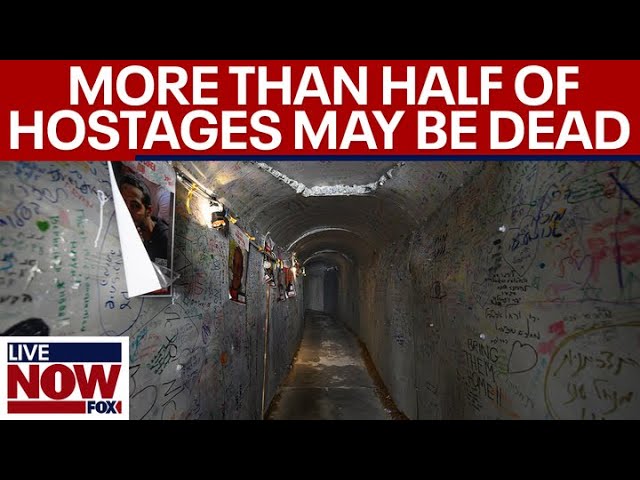 Israel-Hamas war: Only 50 hostages likely still alive in Gaza, US officials say | LiveNOW from FOX