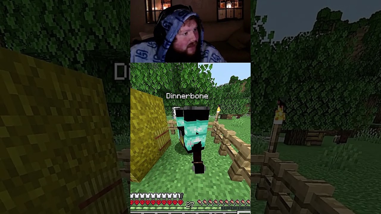 my chat made my horse flip upside down