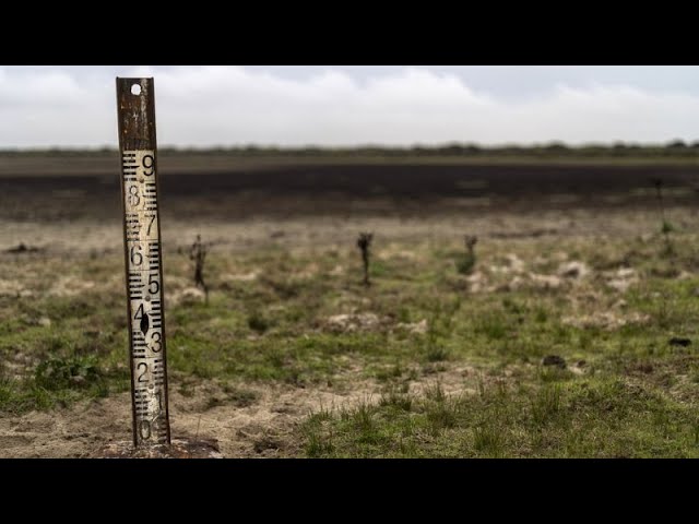 Nature Restoration Law gets green light after Austria flips