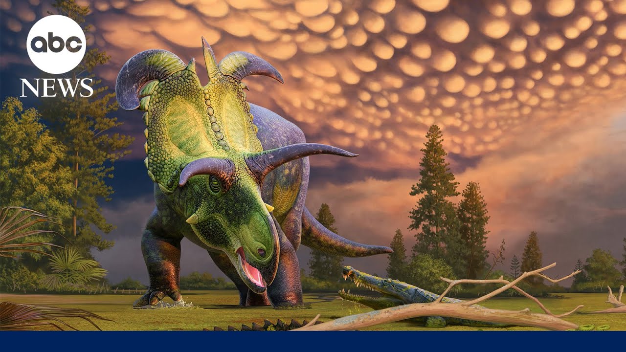 New horned dinosaur species discovered ‘largest and most ornate’ of its kind ever found
