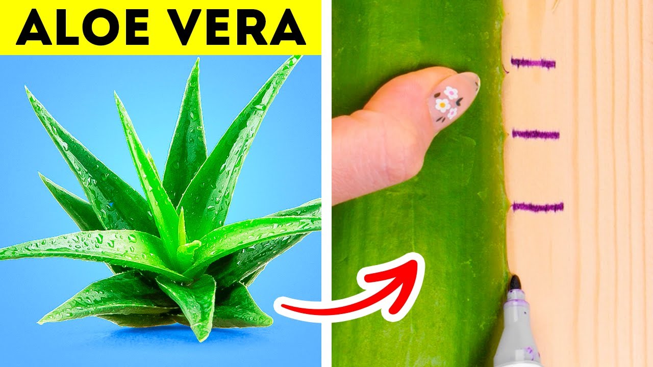 Repair Hacks And Tips for Perfect Results