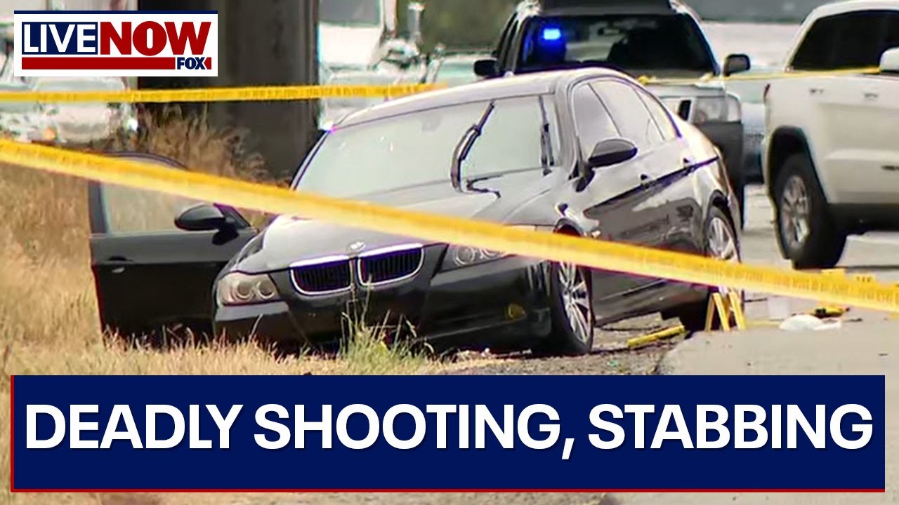 Shooting & stabbing on freeway near Seattle leaves 1 dead, others hospitalized | LiveNOW from FOX