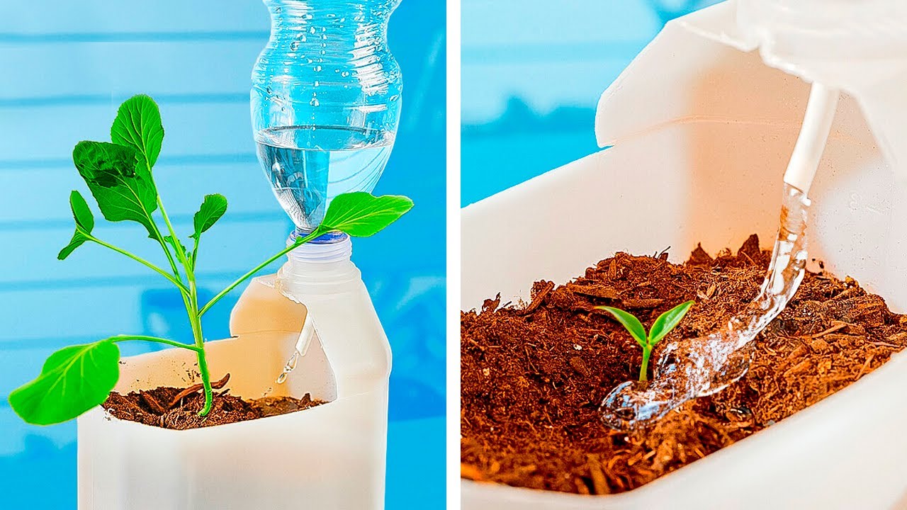 Smart Gardening Hacks For Beginners And Pros 👩‍🌾
