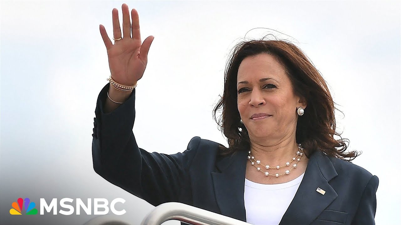 As Biden steps aside and Harris ascends, what happens next?