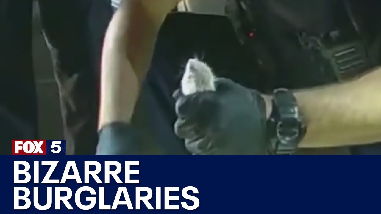 Burglary suspect found wearing onesie with rodents inside | FOX 5 News