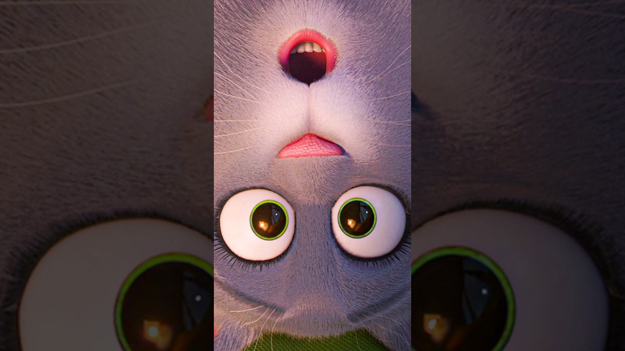 Chloe on a Catnip Trip 😂 – THE SECRET LIFE OF PETS 2