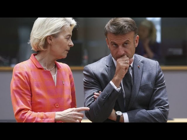 Could a divided or minority government in France pose a risk to EU’s stability?