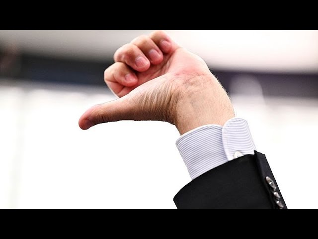 Far-right MEPs vote en masse against pro-Ukraine resolution