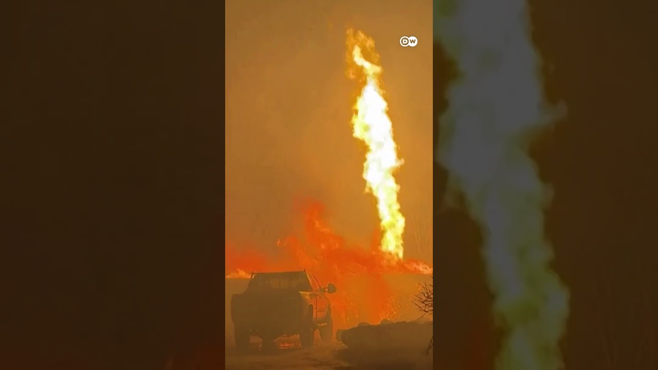 Forest fires raging in California | DW News