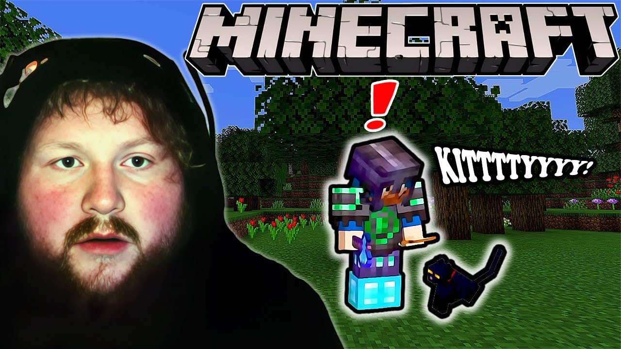 Harassing A Village (Minecraft Solo Hardcore)