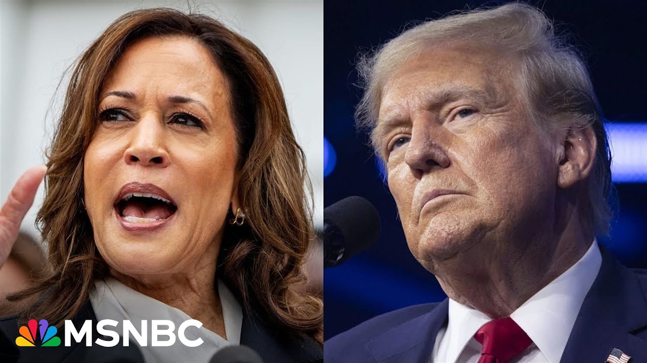 Harris is ‘driving Donald Trump crazy’ by ‘dominating’ headlines