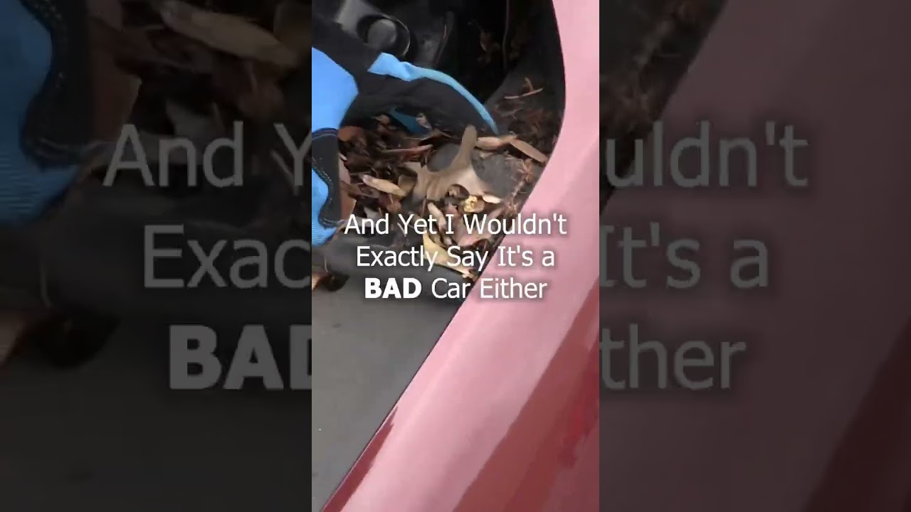 Honda CRV is a toothless vehicle. #honda #crv #hondacrv #hondalife #RCR #regularcarreviews