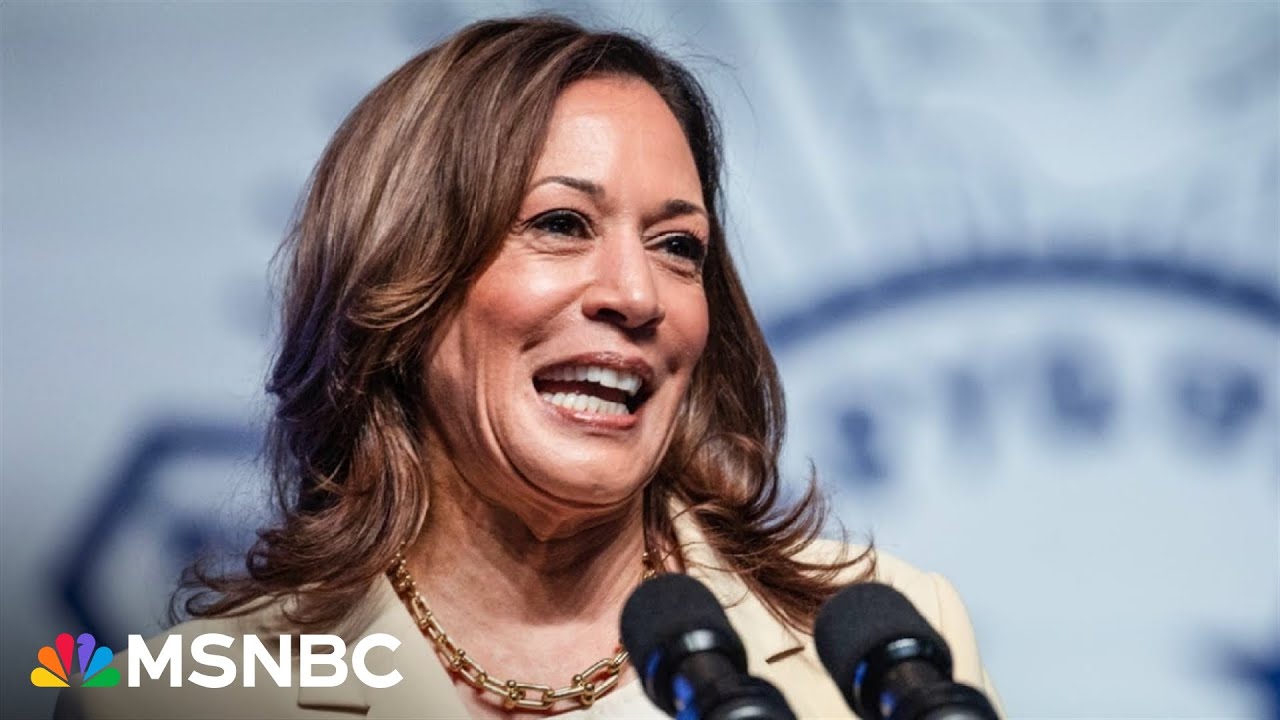 House Democrats ‘running strong’ amid rising enthusiasm over Harris campaign