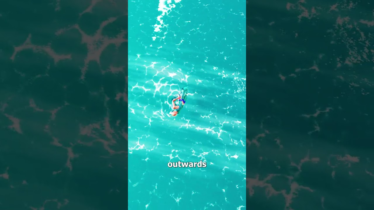 How Rip Currents Can Pull You Out To Sea 🌊😨