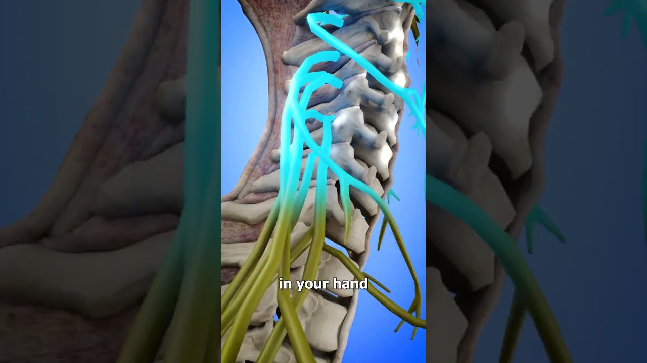 How Your Hand Can Move On Its Own 😨