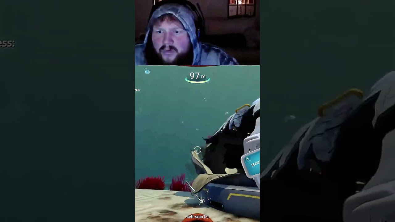 i saw a massive creature in the ocean