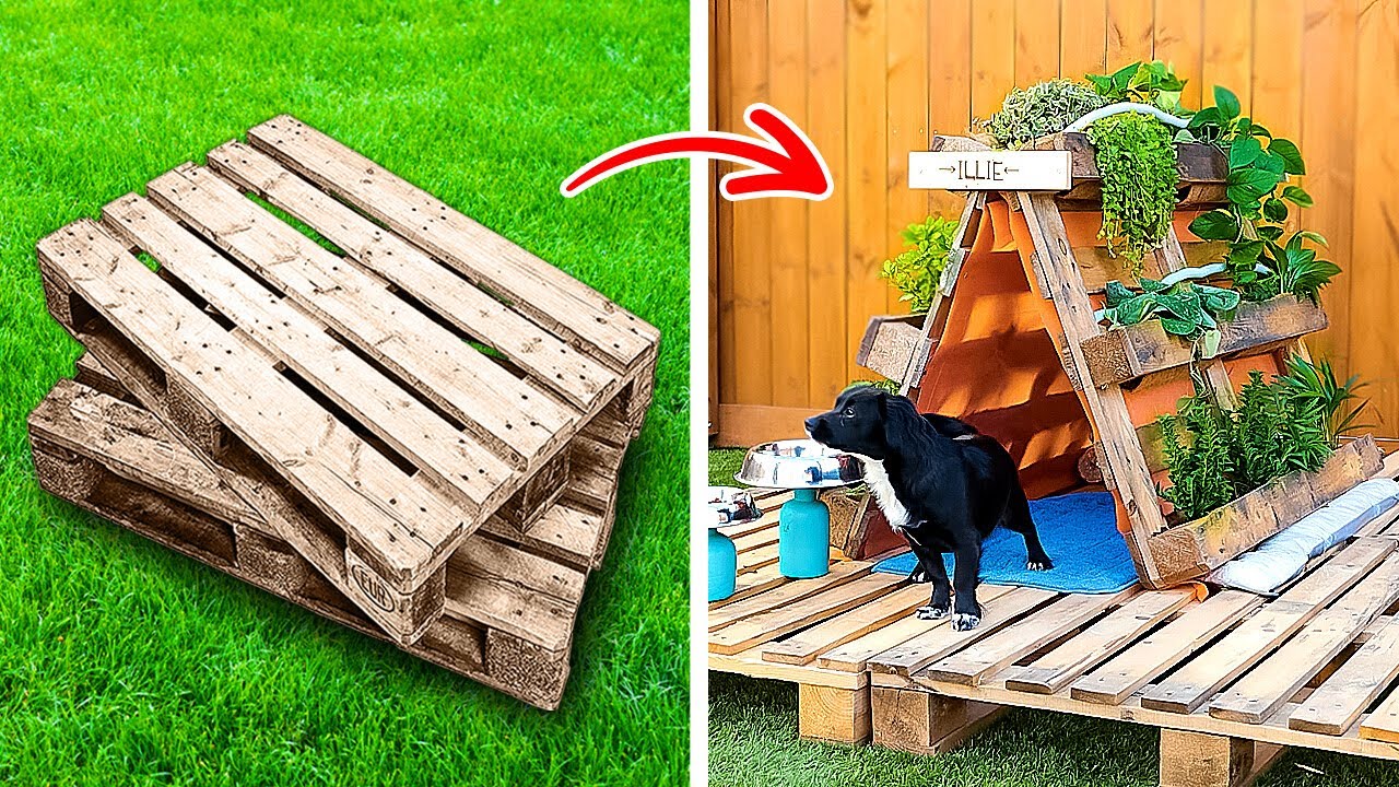 Incredible DIY Ideas for a Stunning Backyard!