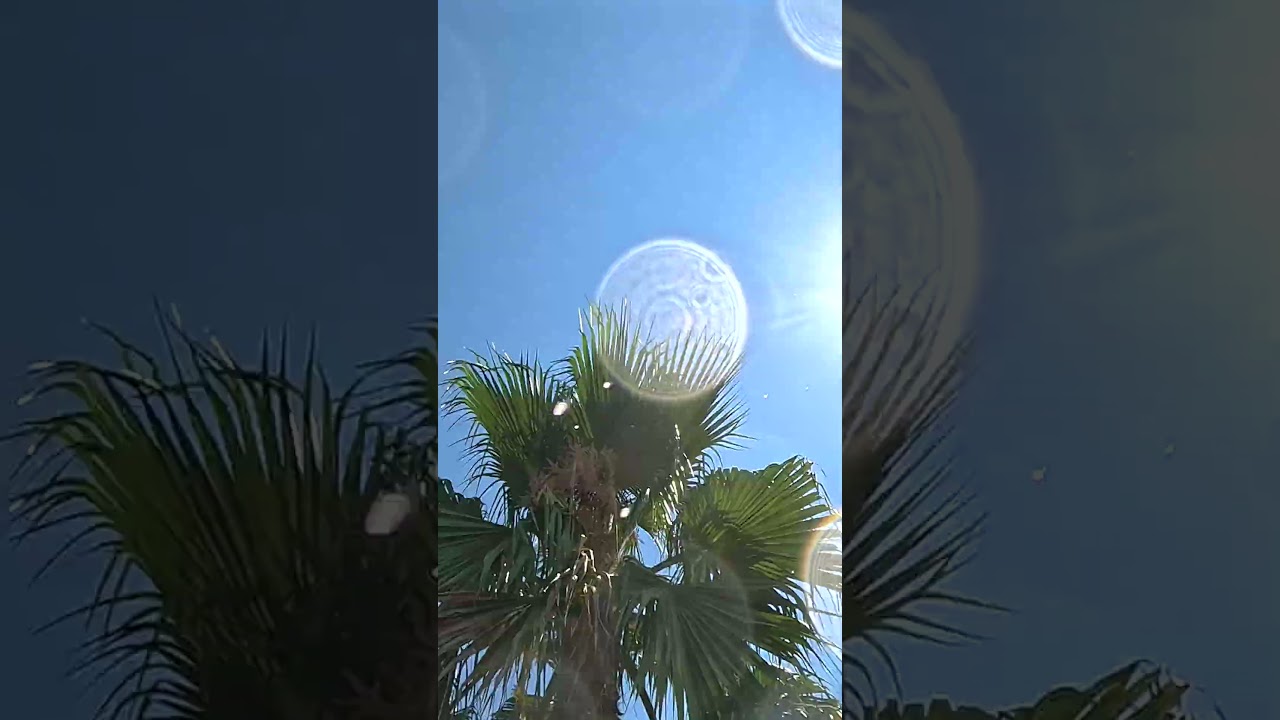 Jungle Jump 🏝️ Water Slide 💦 at Caribe Bay Venice 🇮🇹