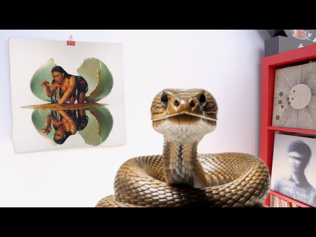 Megan Thee Stallion – MEGAN ALBUM REVIEW