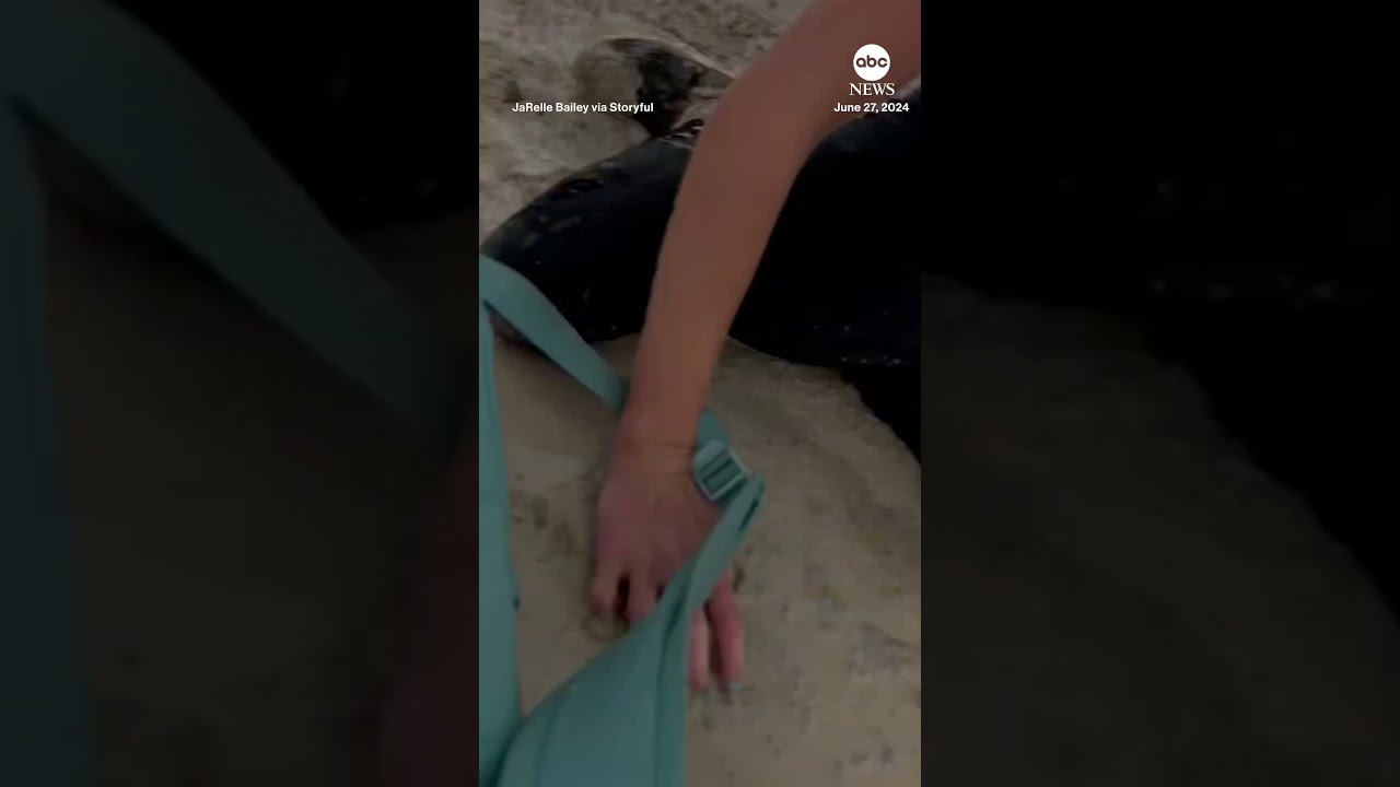 Moment lightning strikes near youth group hiking in Utah. – ABC News