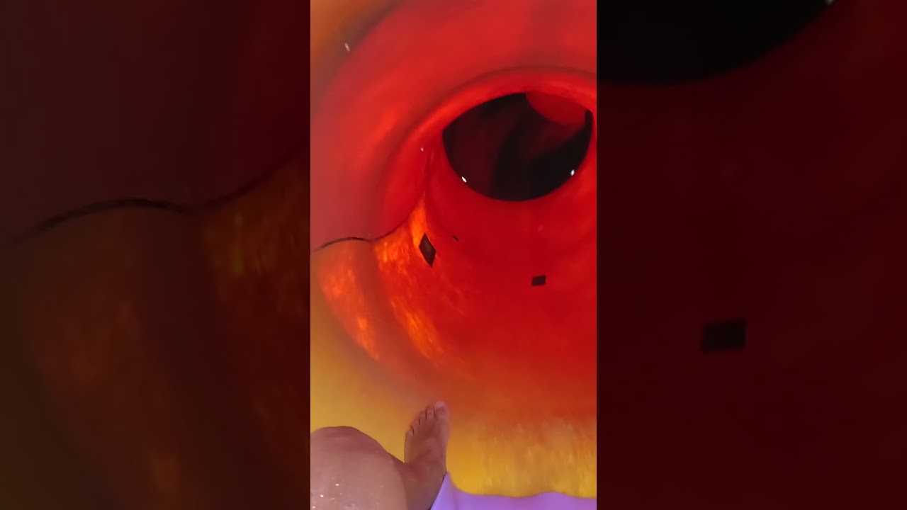 Monkey 🐒 Slide 💦 at Tatralandia 🇸🇰