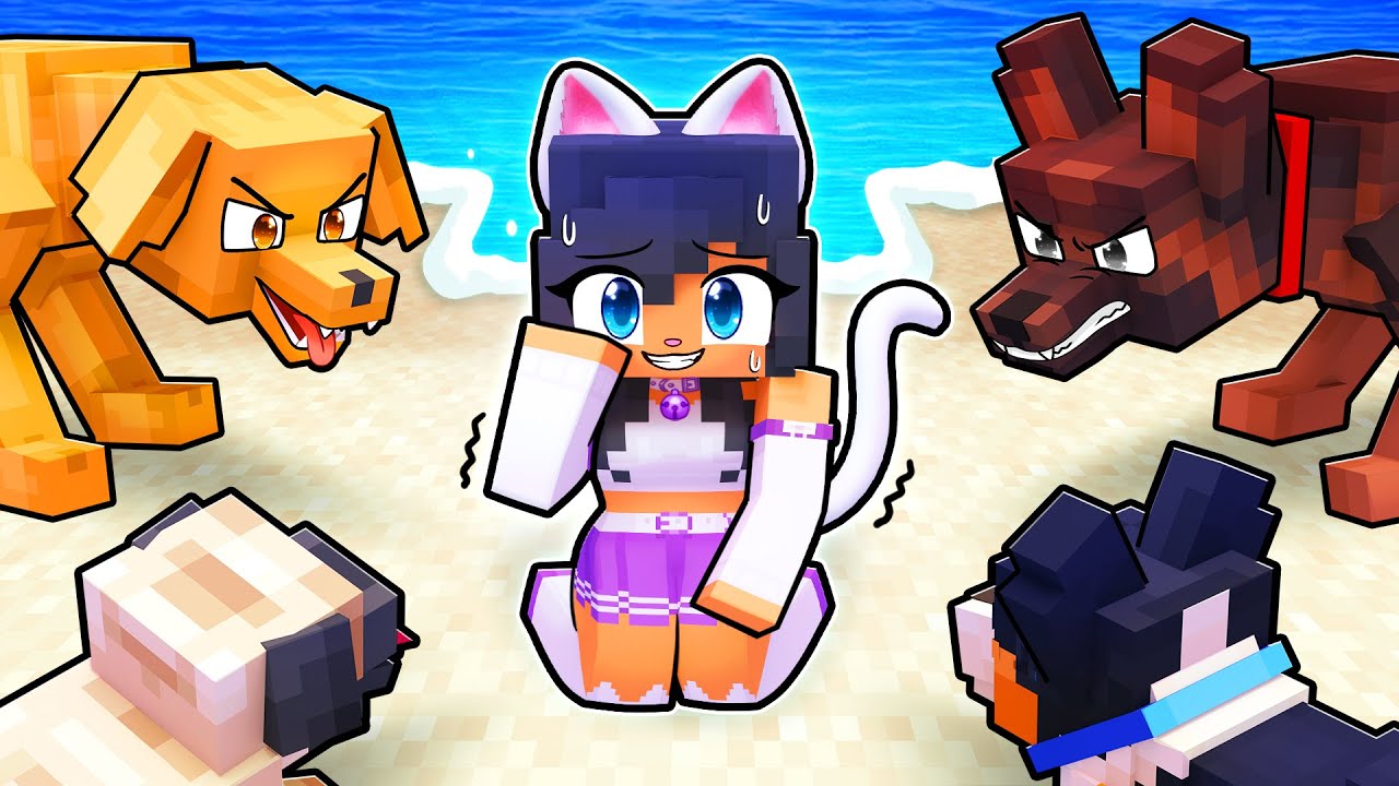 ONE CAT on a DOGS ONLY island!