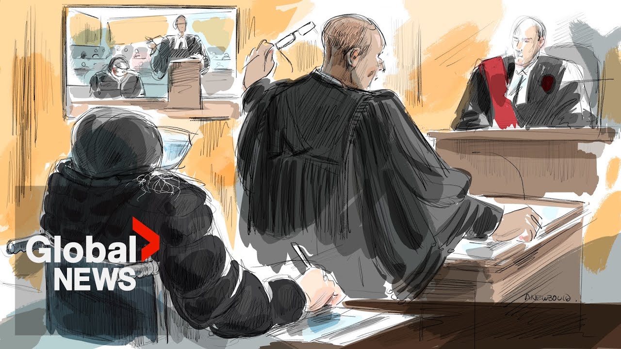 Peter Nygard’s lawyers ask for 6-year prison sentence for convicted fashion mogul