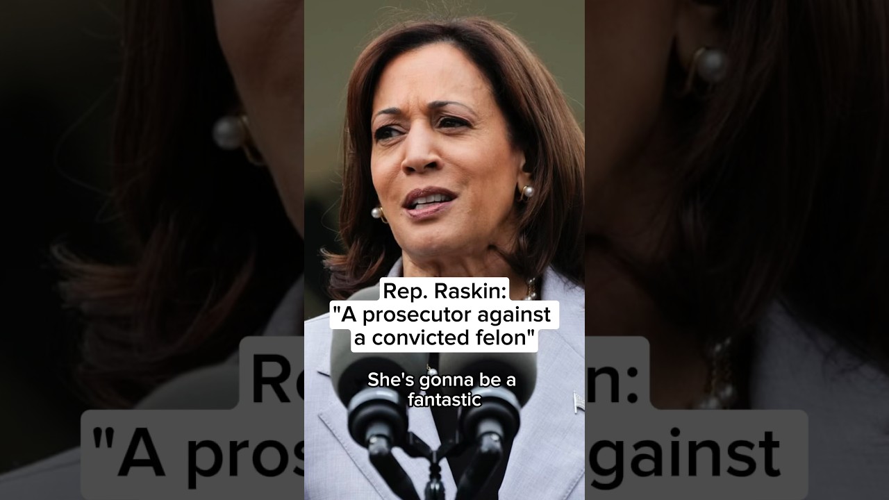 Rep. Raskin: ‘A prosecutor against a convicted felon’