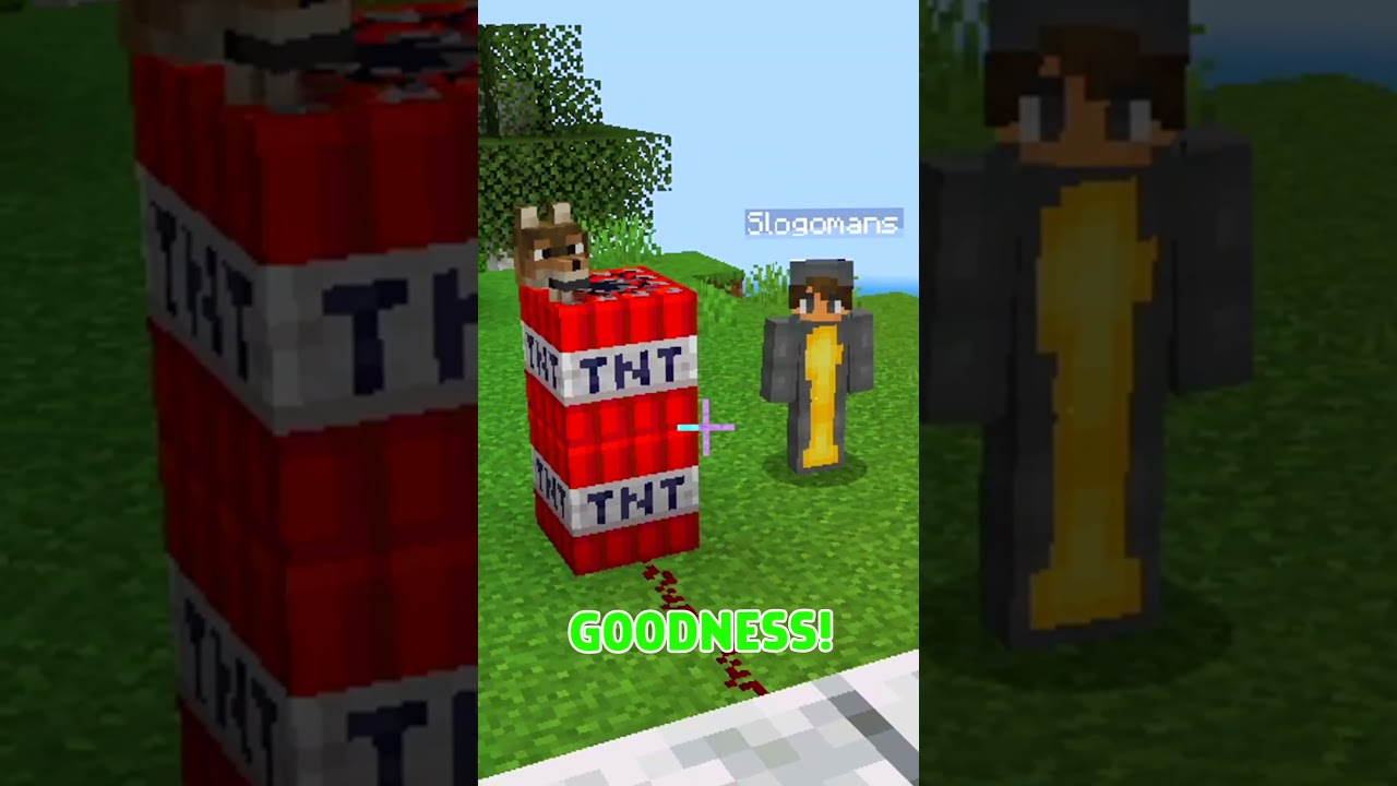 Save The Dog! (Minecraft)