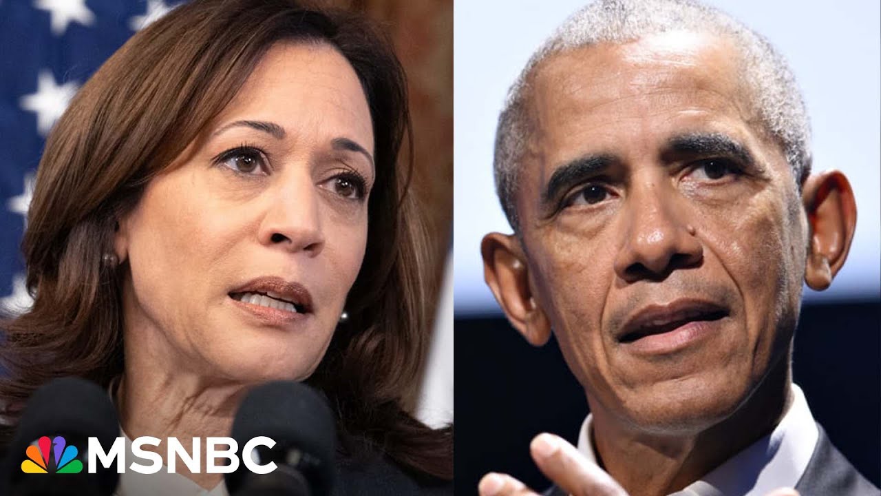 ‘So excited!’ Top Dem compares Harris rise to 2008 Obama mania