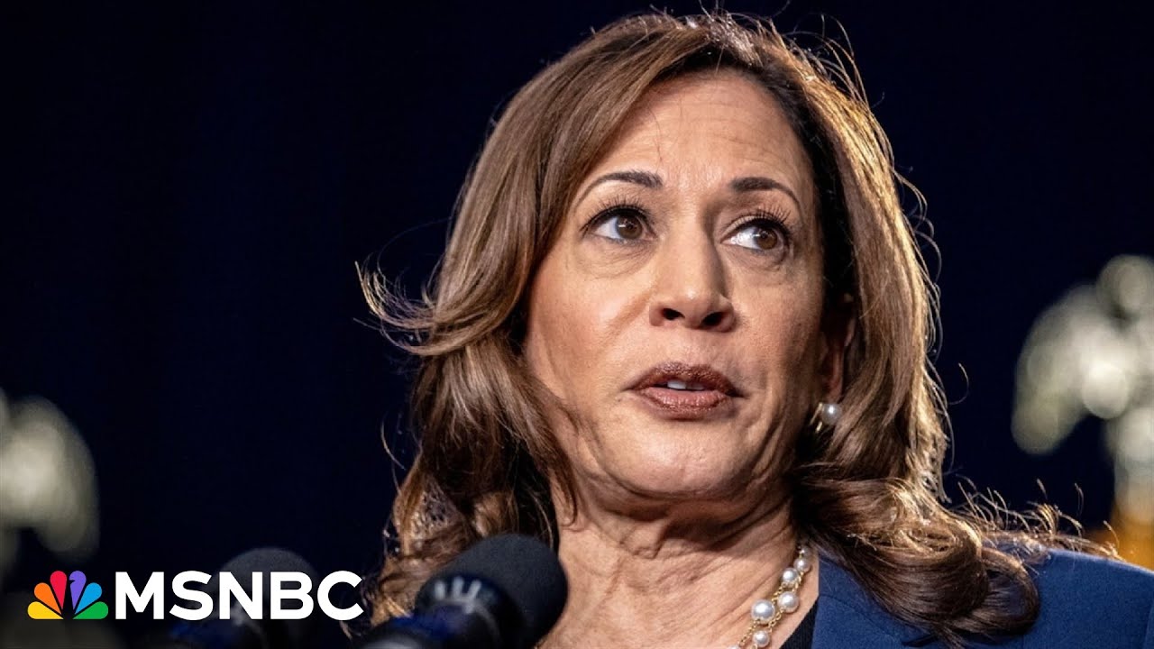 ‘So much excitement’ around Harris ‘it feels like 2008’ all over again: Sen. Heinrich