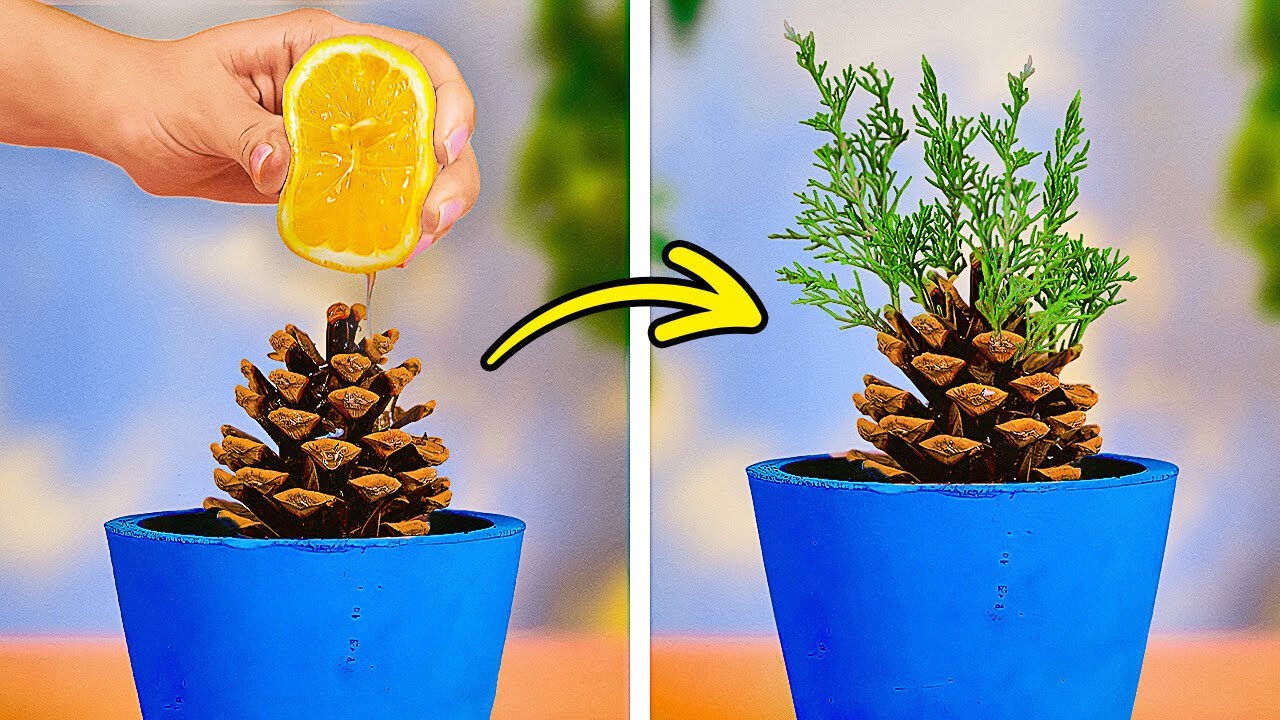 Top Secret Gardening Hacks You Wish You Knew Sooner! 🌿😲