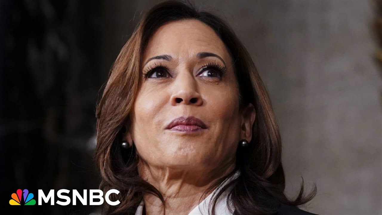 ‘Tough, smart and ready’: Democratic lawmakers rally behind Harris