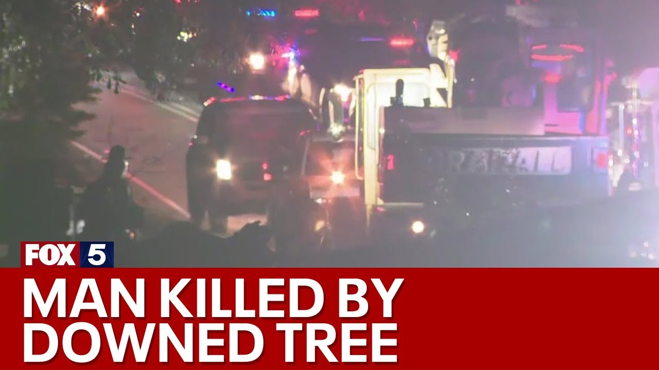 Tree crushes car, kills driver in Cherokee County | FOX 5 News