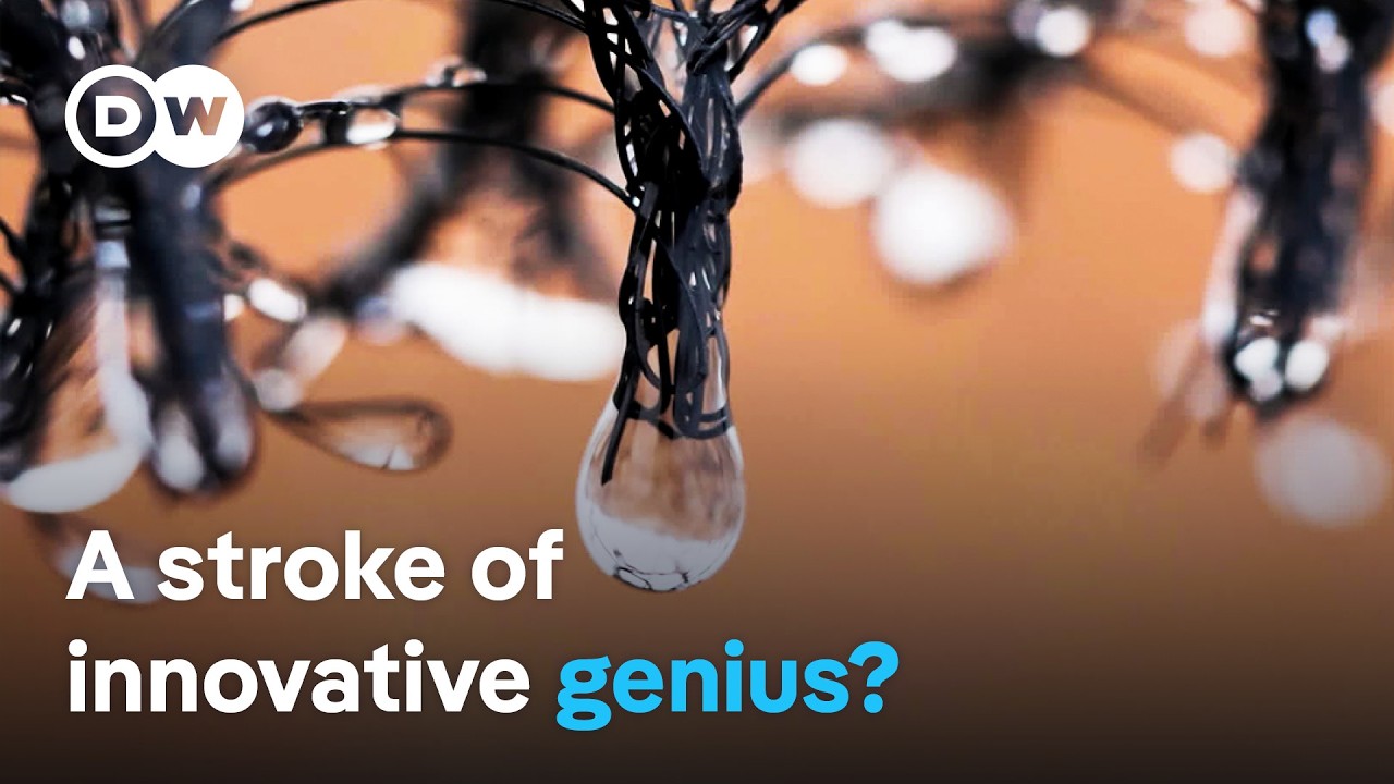 Turning vapor into drinking water – Catching fog in response to drought | DW Documentary