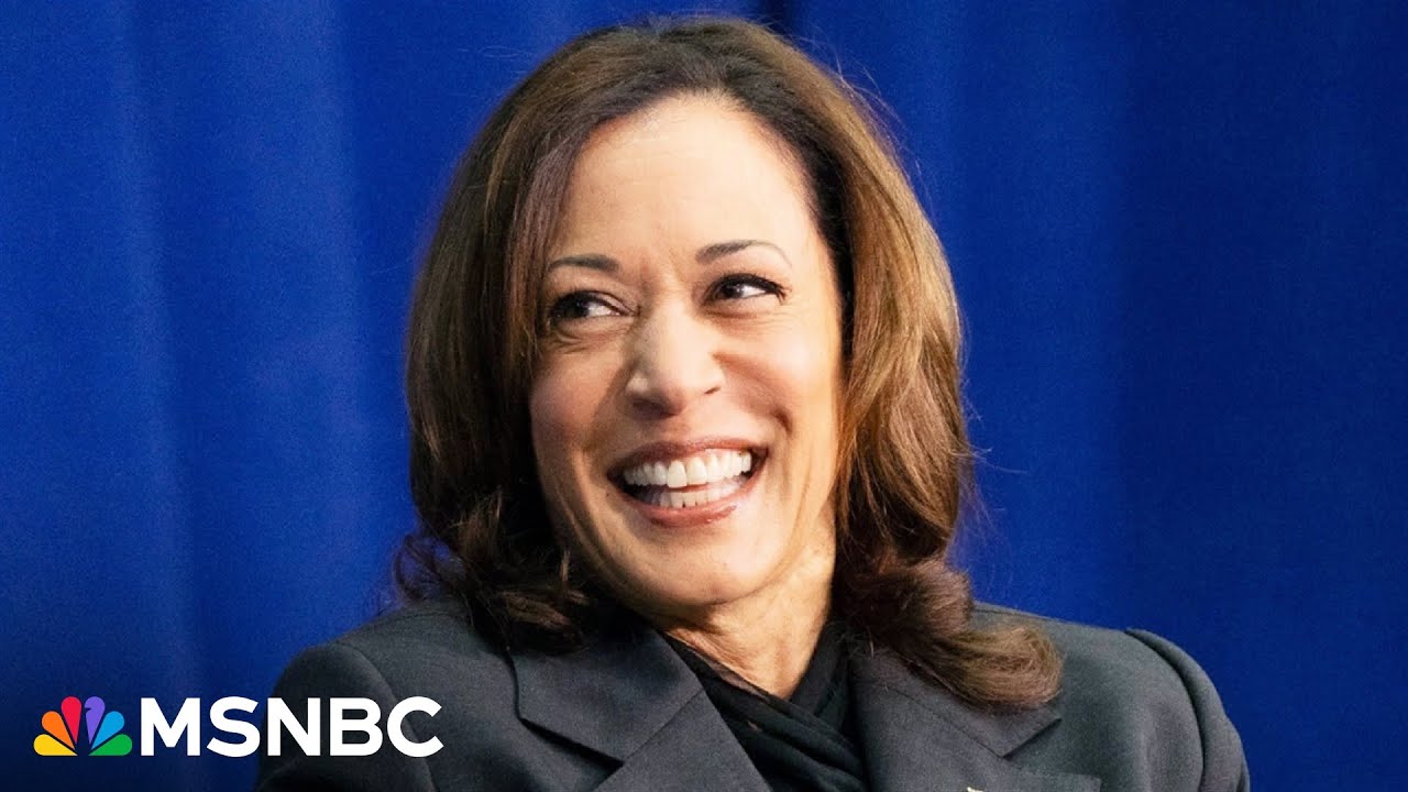 VP Harris ‘doing the work she needs’ to be a ‘great candidate’: fmr. national security advisor