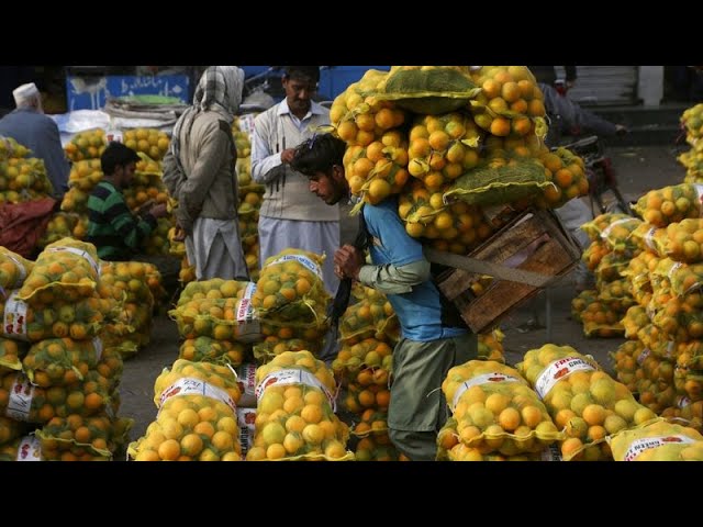 We are far from achieving goal to eliminate hunger by 2030, UN warns