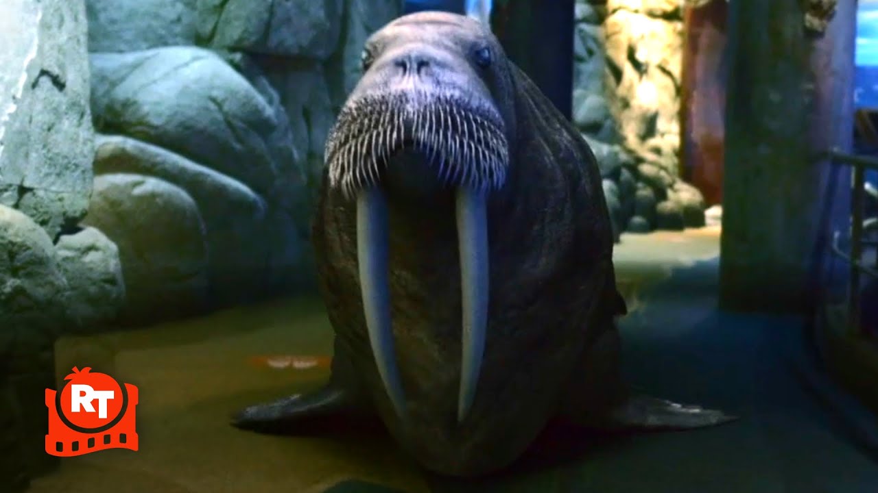 Aquarium of the Dead (2021) – HILARIOUS Zombie Walrus Attack Scene | Movieclips