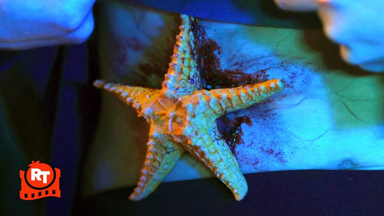 Aquarium of the Dead (2021) – Zombie… Starfish? Scene | Movieclips