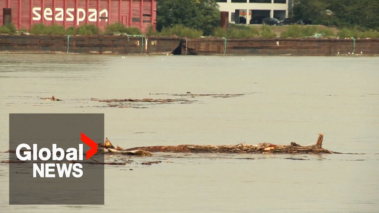 BC landslide: 2.5M dump truckloads of debris went into river when Chilcotin blockage broke
