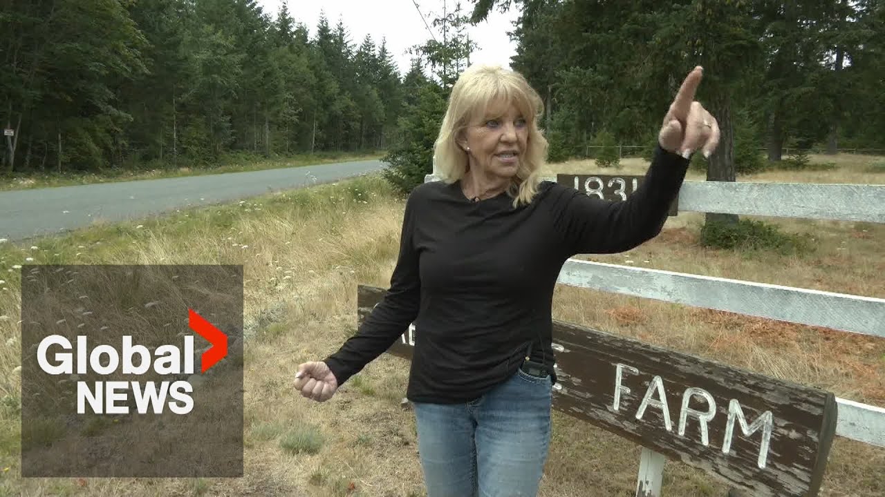 BC woman fights off attacker, credits self-defence classes