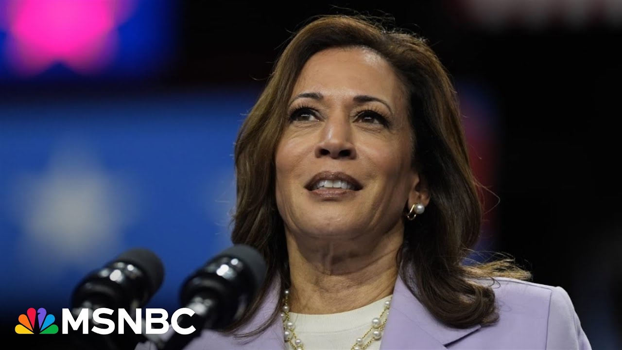 ‘Blueprint to win’: What Georgia reveals about battleground states this election