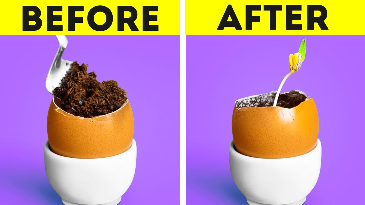 Clever Hacks For Gardening And Growing Plants