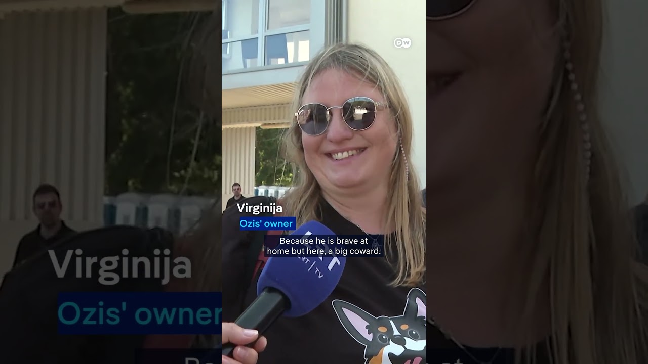 Corgis battle in ‘ruff’ contest | DW News