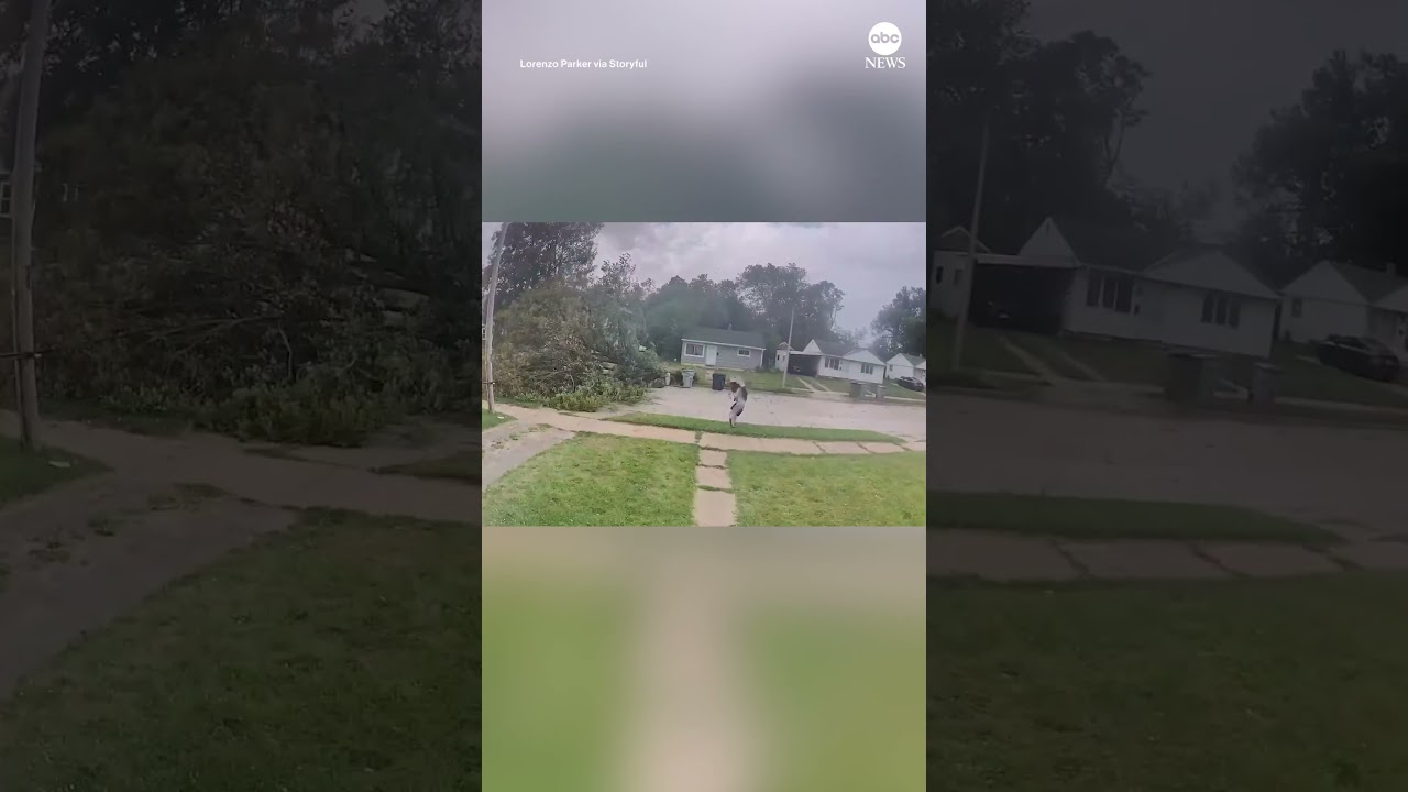 Doorbell cam captures cyclist crashing into falling tree