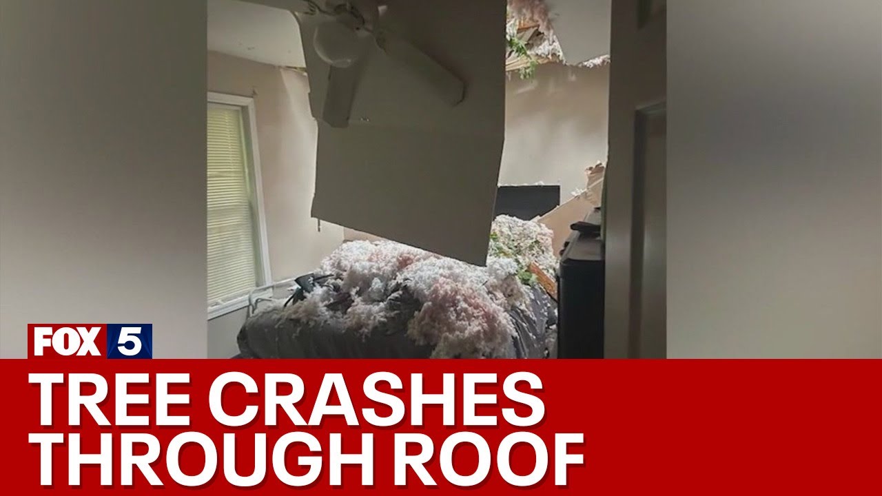 Downed tree from storm crashes through roof | FOX 5 News