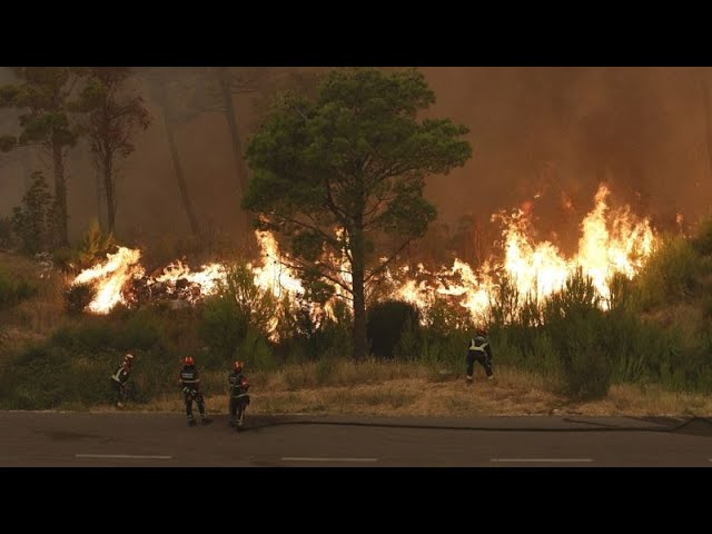 Firefighting teams tackle wildfires in Albania and Croatia as heatwave blisters region