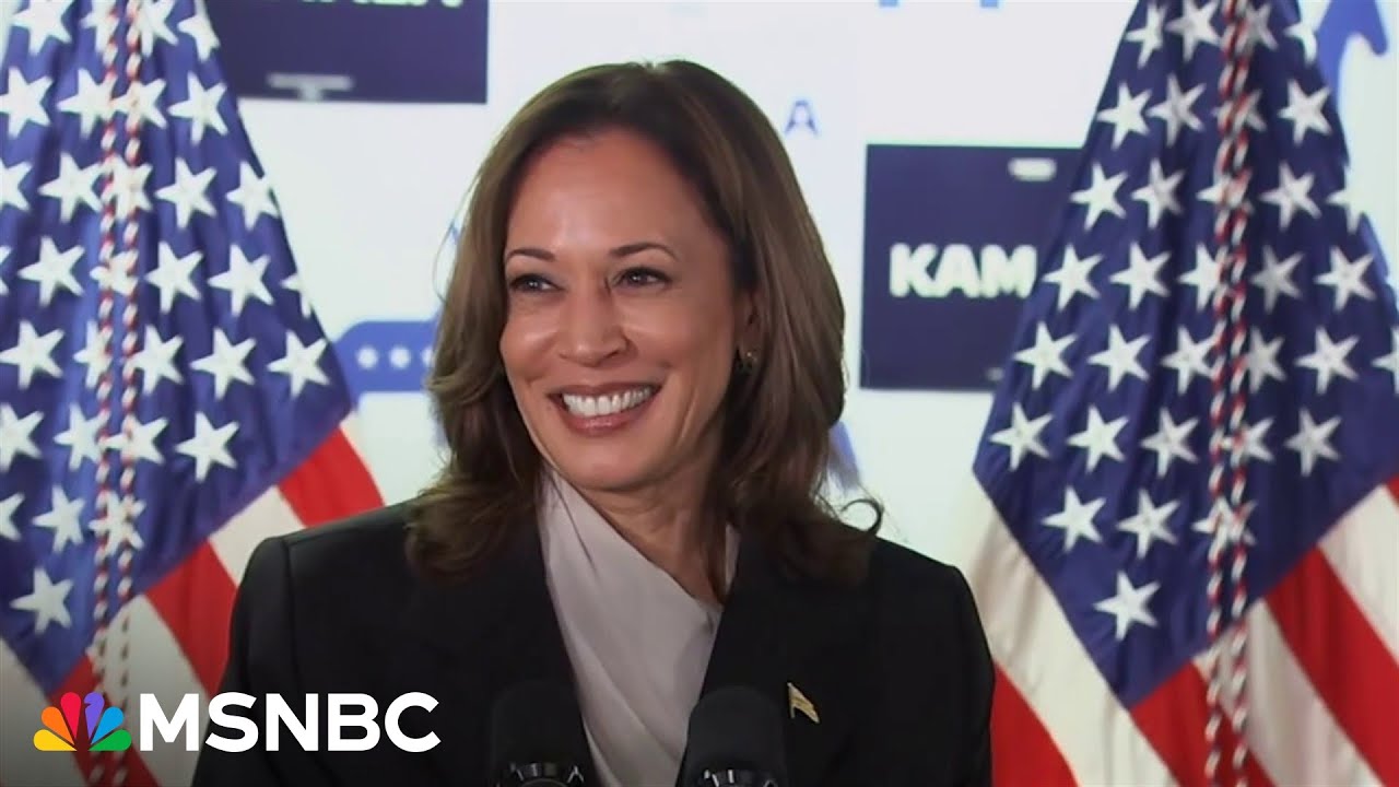 ‘Gotten kind of sad’: Trump brings back racist attacks 16 years after Obama