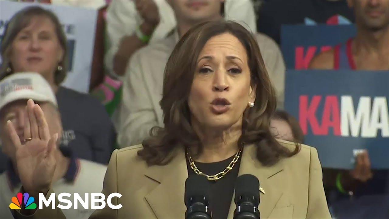 ‘He talks a big game, but he does not walk the walk’: VP Harris on Trump’s immigration stance